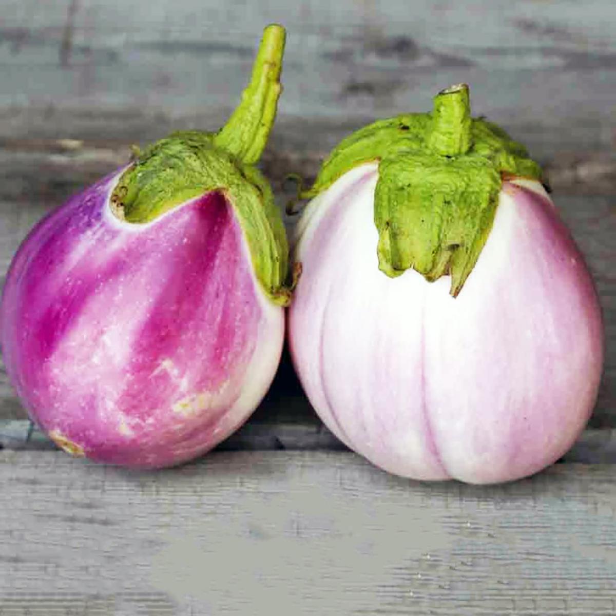 AUBERGINE RONDE BIANCA