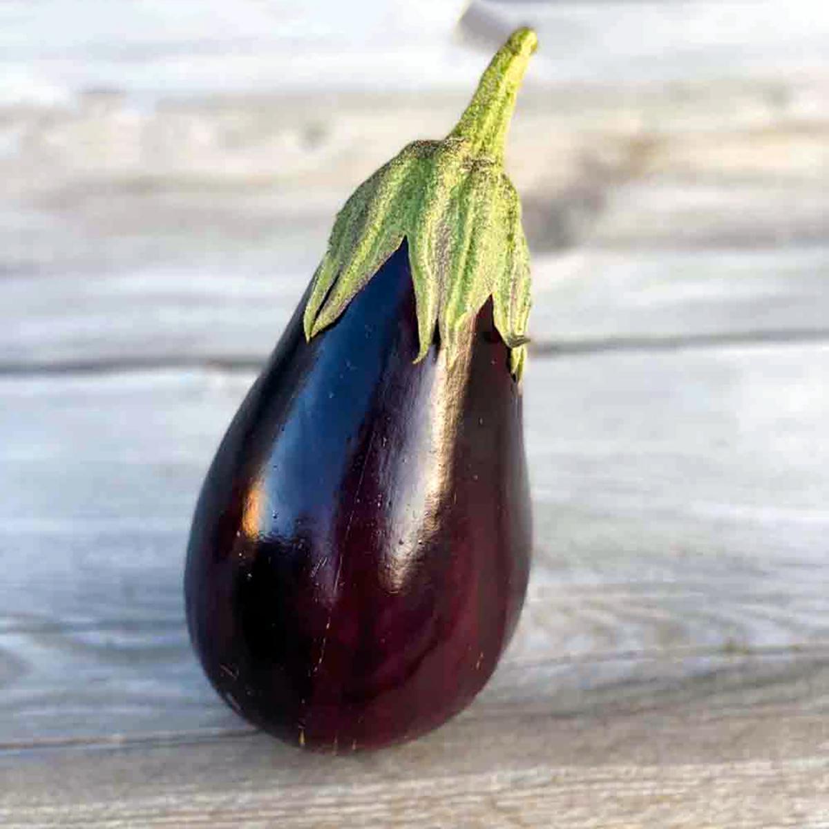 AUBERGINE RONDE BLACK BEAUTY