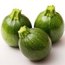 COURGETTE RONDE