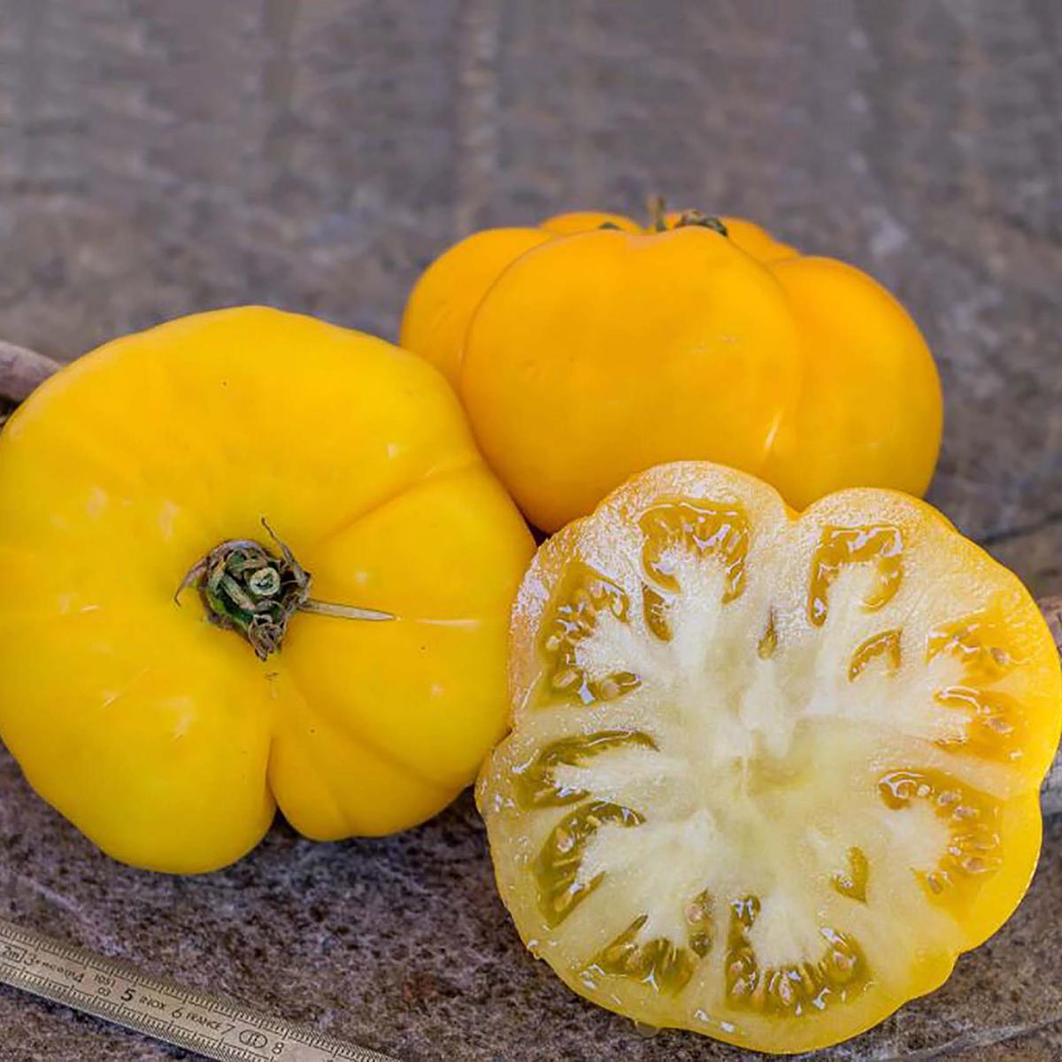 TOMATES JAUNE SAINT VINCENT