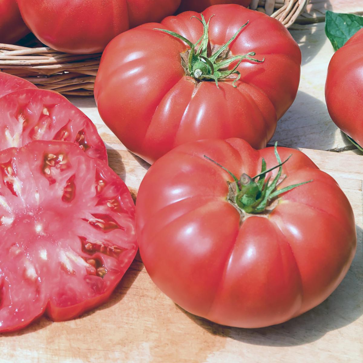 TOMATE STEAK RUSSE